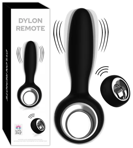 DYLON REMOTE