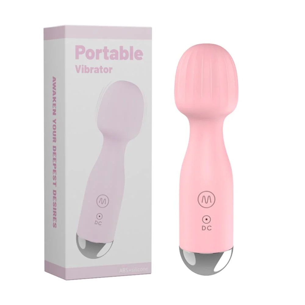PORTABLE VIBRATOR