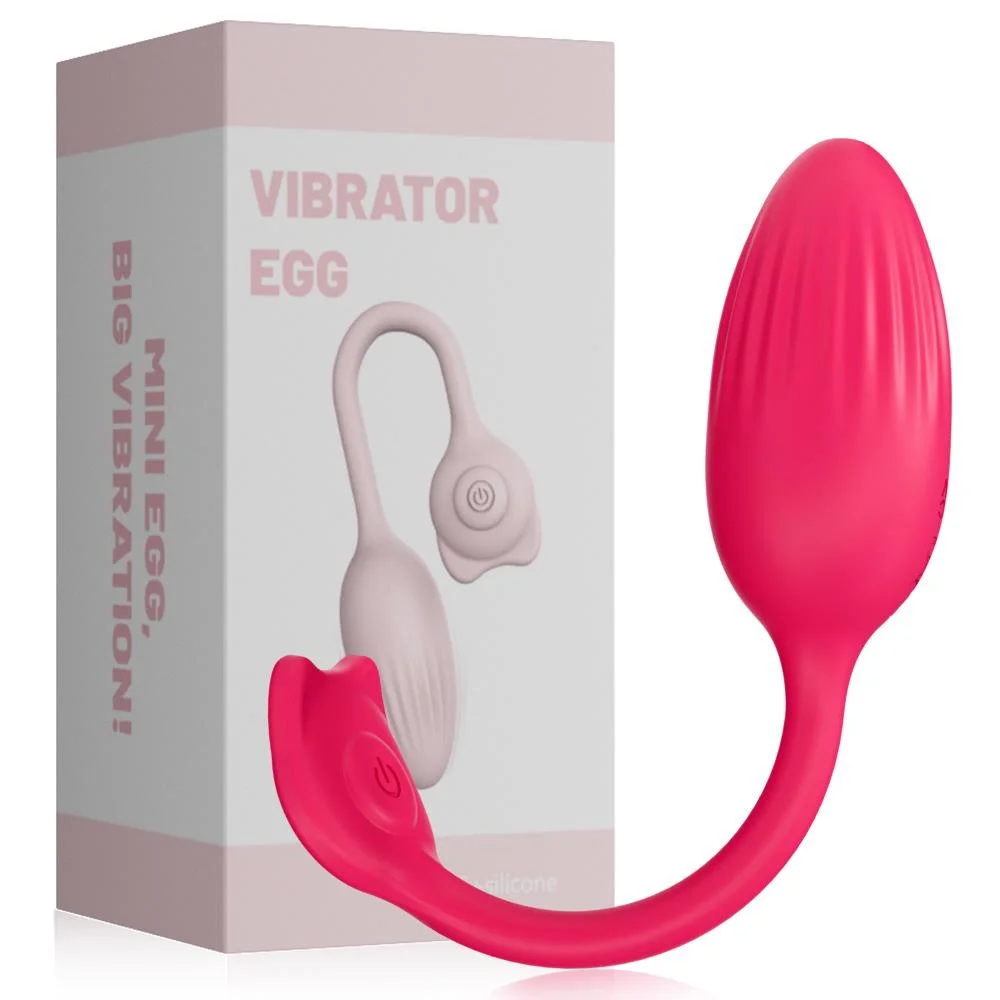 VIBRATOR EGG