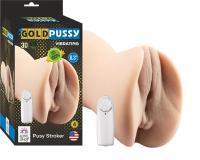 Gold pussy vibrating 4