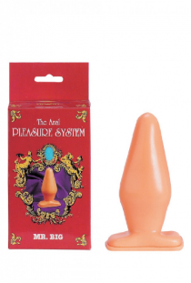 THE ANAL PLEASURE SYSTEM