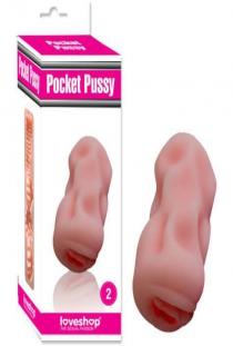 Pocket pussy 