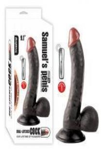 Samuel Black Vibrating