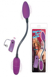 Wireless remote control