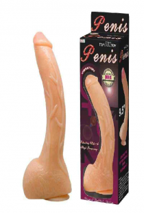 Top toy penis